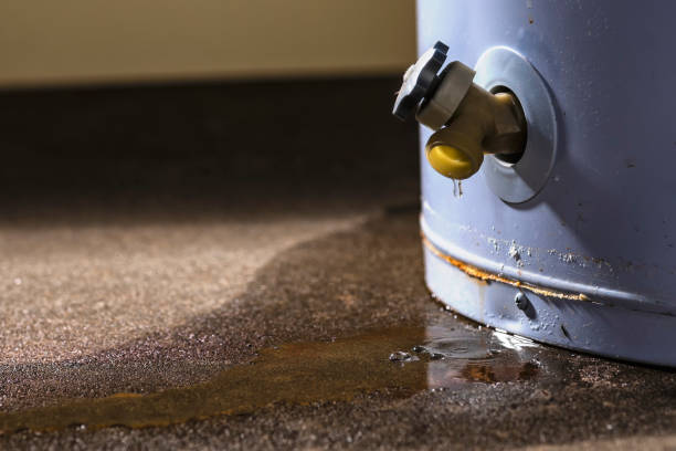 Best Carpet water damage restoration  in Kensington, CA