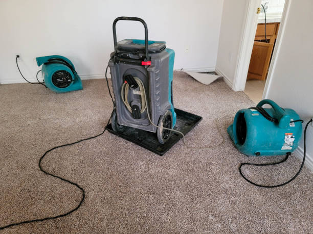 Water damage restoration mold remediation in Kensington, CA