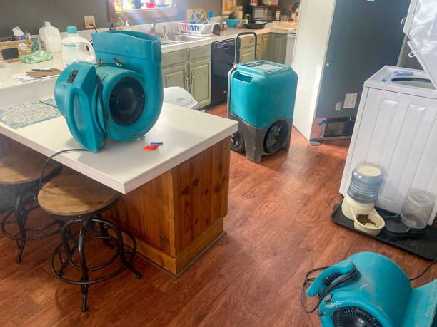 Best Residential water damage restoration  in Kensington, CA