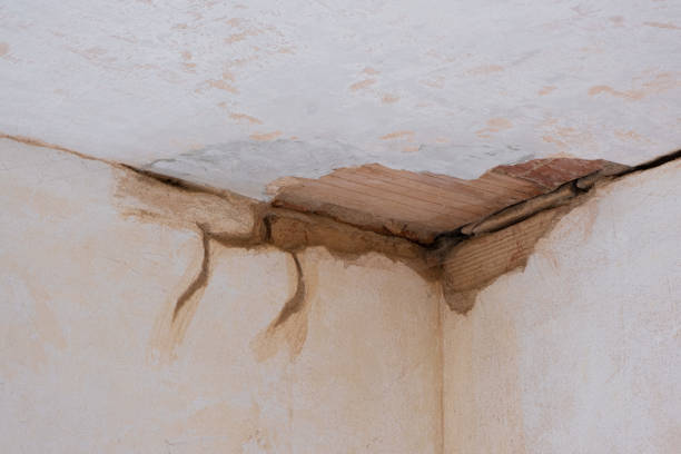 Best Basement water damage restoration  in Kensington, CA