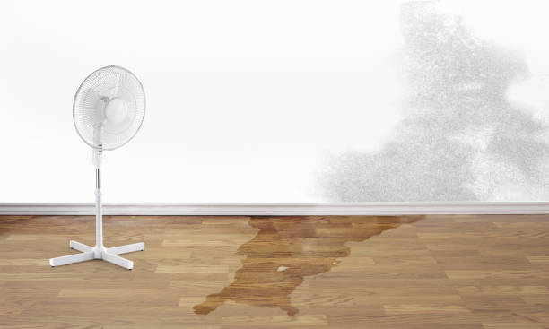 Best Fire Damage Restoration  in Kensington, CA