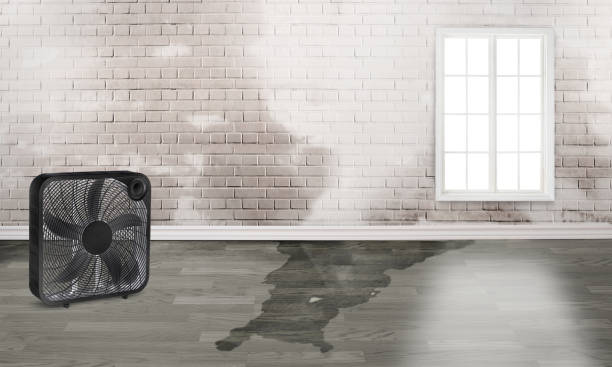 Best Carpet water damage restoration  in Kensington, CA