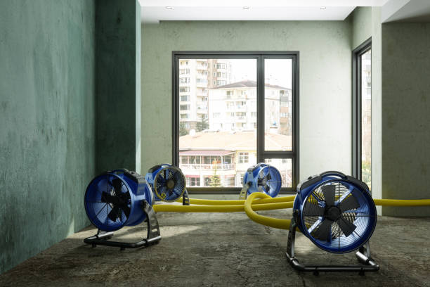 Carpet water damage restoration in Kensington, CA