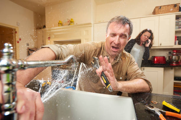 Best Mold removal after water damage  in Kensington, CA